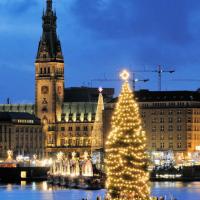 0043_1284 Beleuchteter Weihnachtsbaum auf der Alster - Alstertanne. | Adventszeit - Weihnachtsmarkt in Hamburg - VOL.1